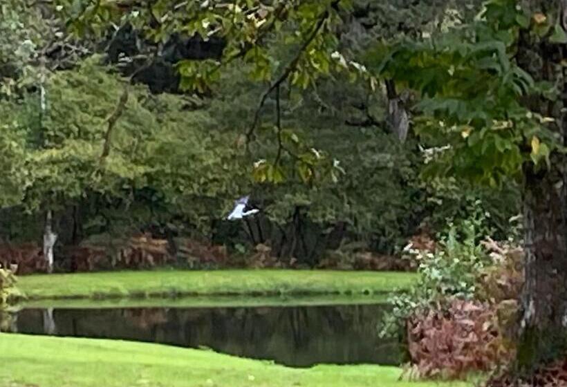 Hotel One Suite  Suite With Private Beach, Natural Swimming Pool & Reserve