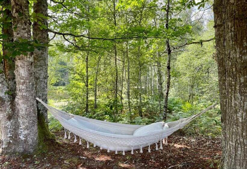 Hotel One Suite  Suite With Private Beach, Natural Swimming Pool & Reserve