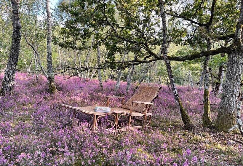 Hotel One Suite  Suite With Private Beach, Natural Swimming Pool & Reserve