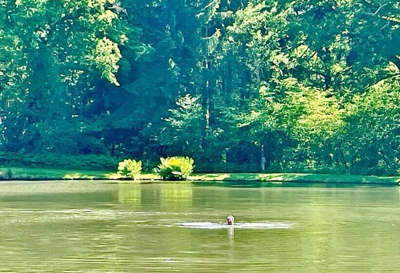 Hotel One Suite  Suite With Private Beach, Natural Swimming Pool & Reserve