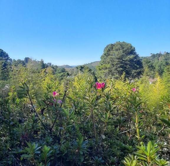 펜션 Pippo Suítes Campos Do Jordão