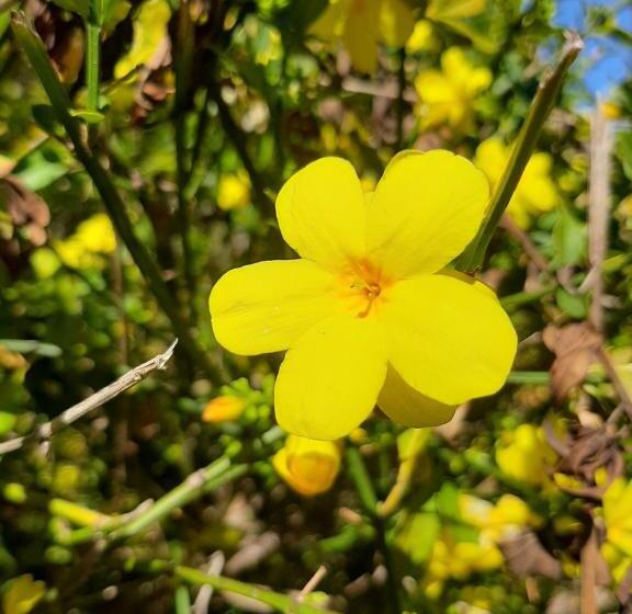 펜션 Pippo Suítes Campos Do Jordão