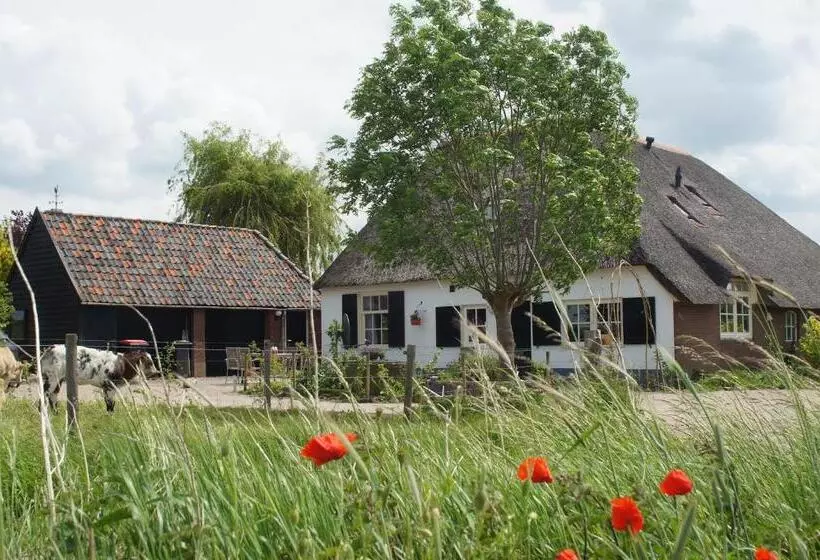Bed And Breakfast De Bosakker