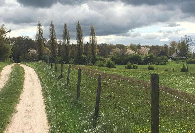 Bed And Breakfast De Bosakker