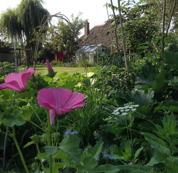 Bed And Breakfast De Bosakker