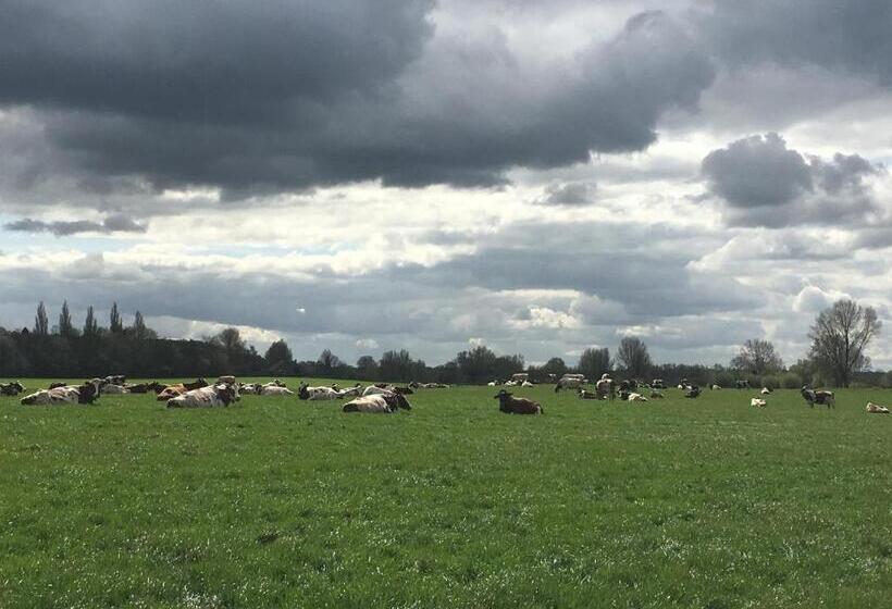 Bed And Breakfast De Bosakker