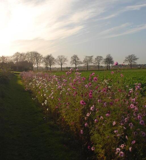 Bed and Breakfast Het Blauwe Huis