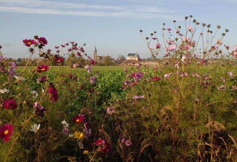 Bed and Breakfast Het Blauwe Huis