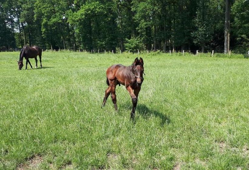 مبيت وإفطار Landgoedhoeve Vosbergen