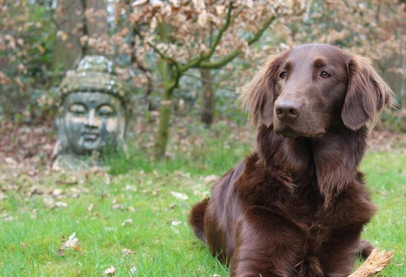 مبيت وإفطار Landgoedhoeve Vosbergen