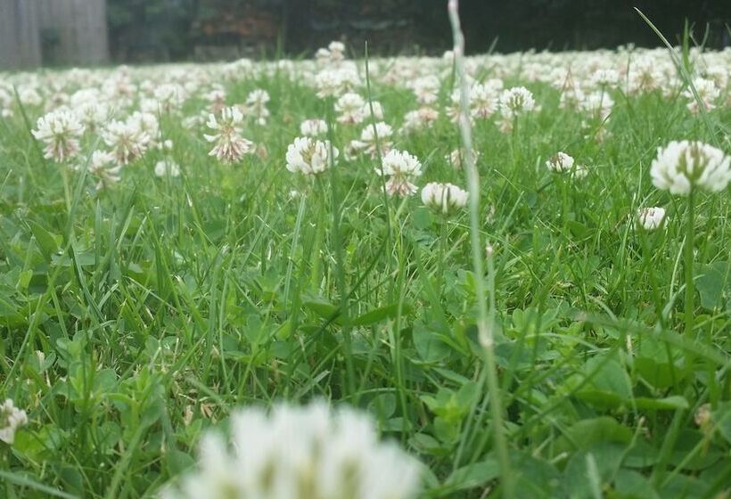 צימר Slapen & Smullen