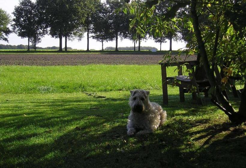 住宿加早餐  T Rond Bargie