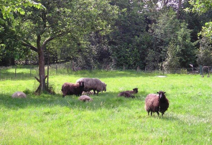 住宿加早餐  T Rond Bargie