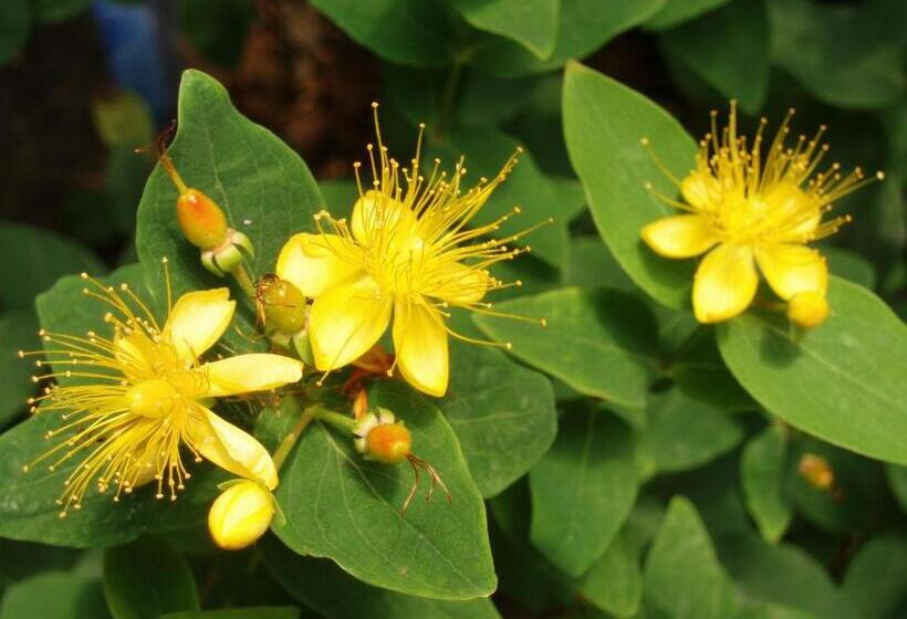 민박 Zeeland Aan Zee