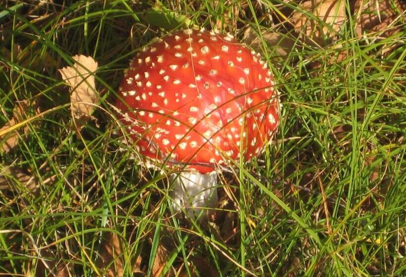 민박 Zeeland Aan Zee