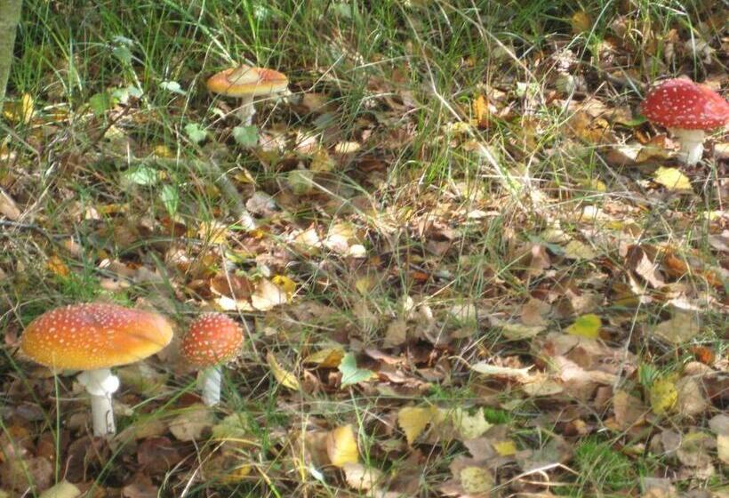 민박 Zeeland Aan Zee