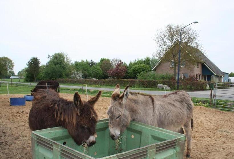 Bed & Breakfast  Op 7