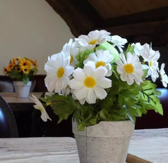 Hostel Kersenhof