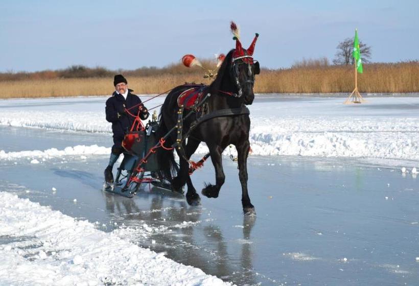 Отель De Stadsboerderij