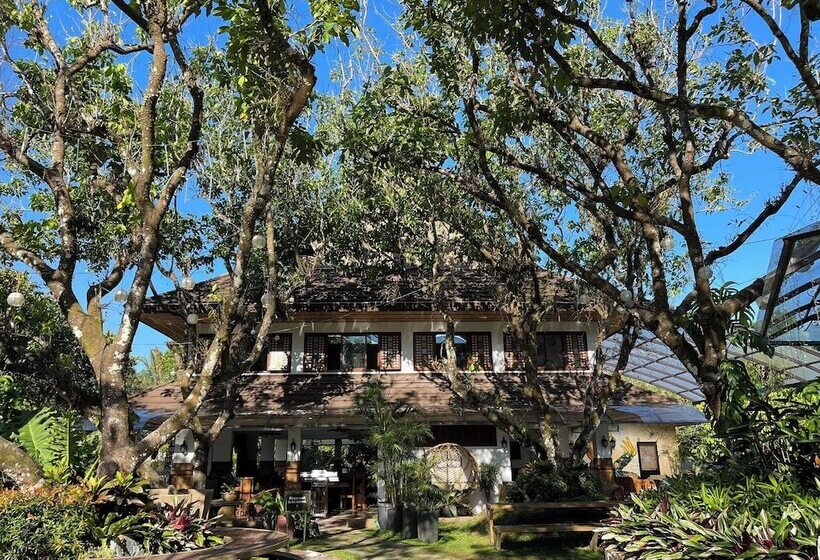 Diwata Nature Resort