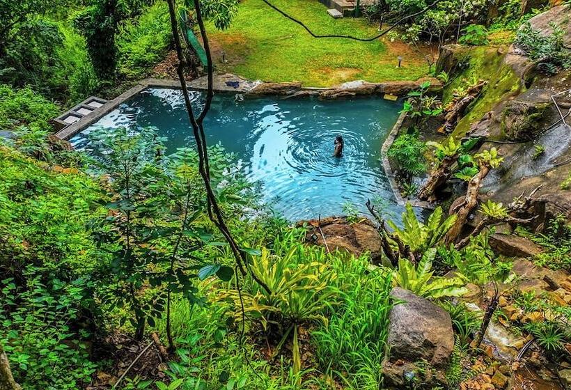 Hotel Siyonra Bungalow
