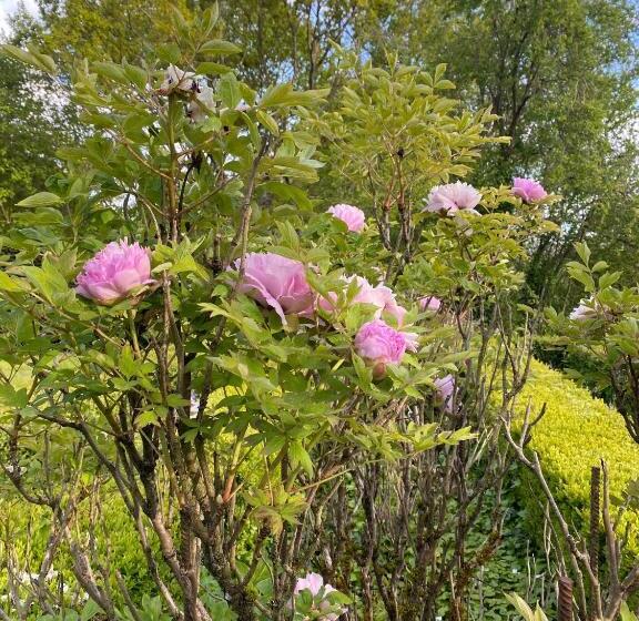 펜션 Le Manoir Du Plessis