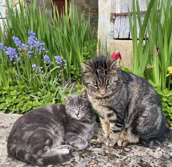 펜션 Le Manoir Du Plessis