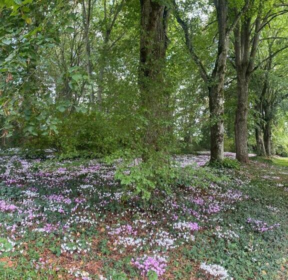 펜션 Le Manoir Du Plessis