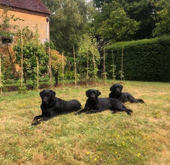 펜션 Le Manoir Du Plessis