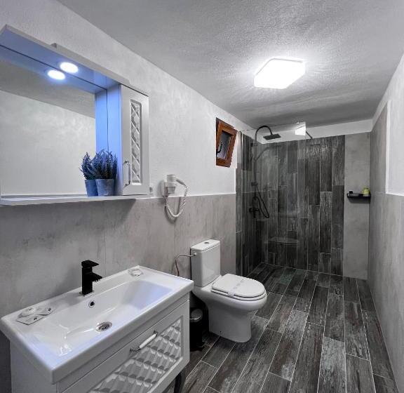 پانسیون Casa Coltea