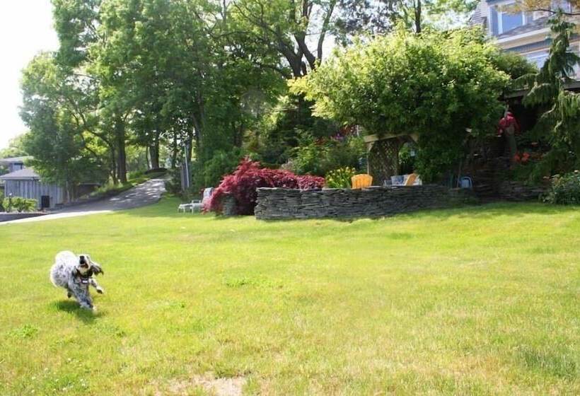 A Boat To Sea Bed & Breakfast