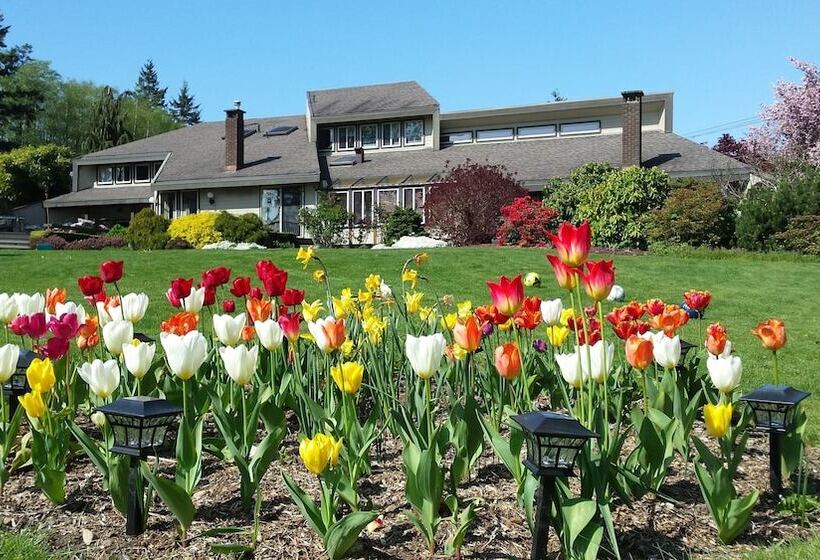 تختخواب و صبحانه Hilltops