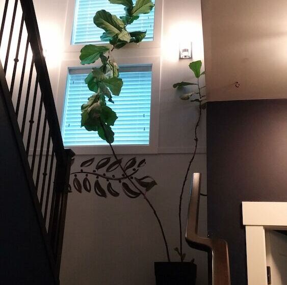 Bed and Breakfast Seagrass Guesthouse