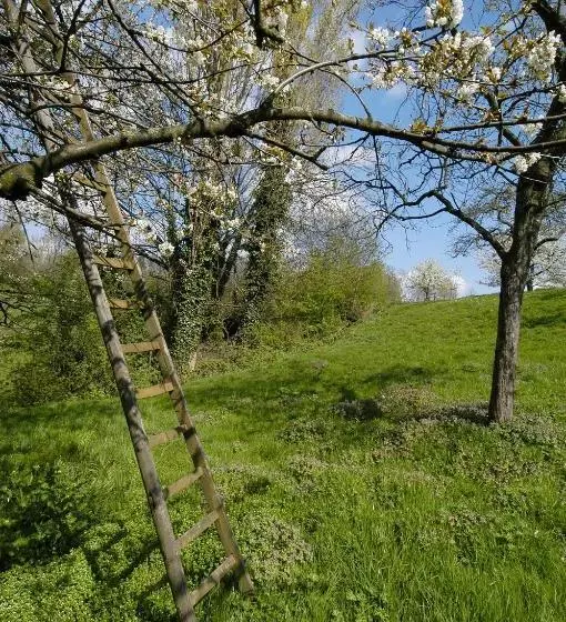 ホテル Op De Beek