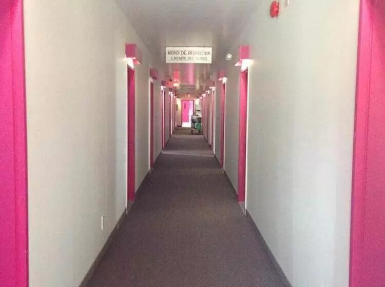 Motel Econonuit