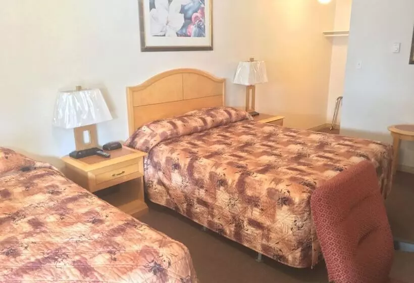 モーテル Tumbler Ridge Inn