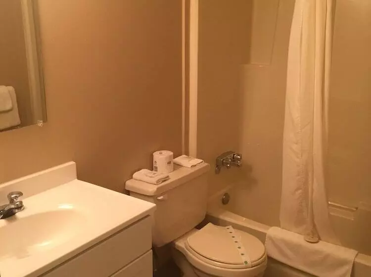 モーテル Tumbler Ridge Inn