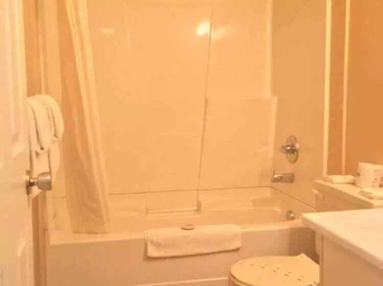 モーテル Tumbler Ridge Inn