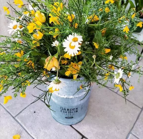 Aamiaismajoitus (B&B) Chez Didier Et Gene