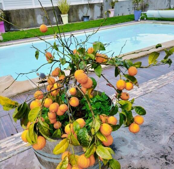 Bed and Breakfast Chez Didier Et Gene