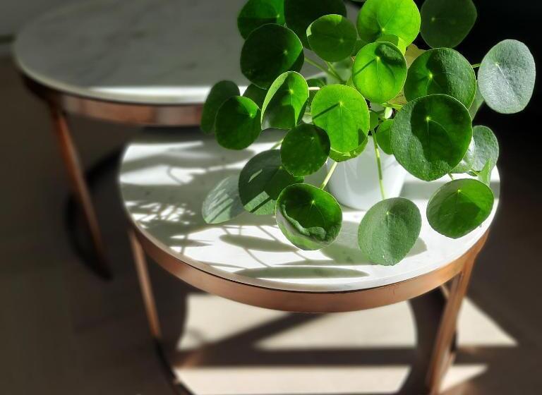 تختخواب و صبحانه L Essongère