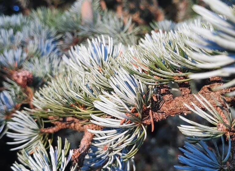 تختخواب و صبحانه L Essongère