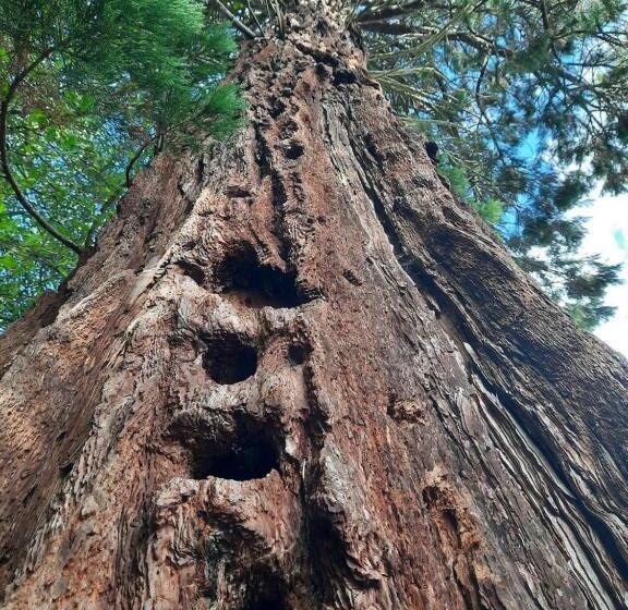 تختخواب و صبحانه L Essongère