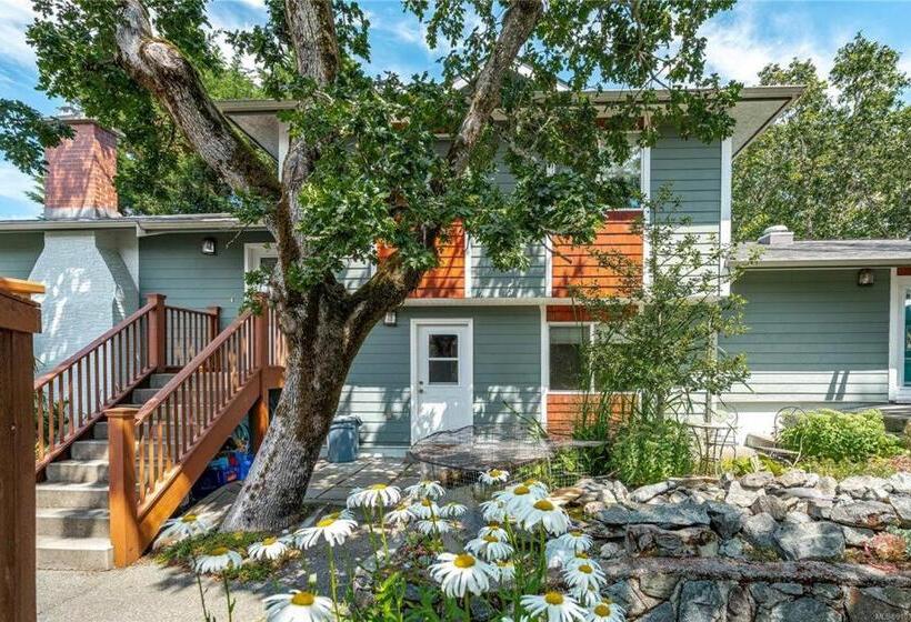 צימר Illuminati Guest House