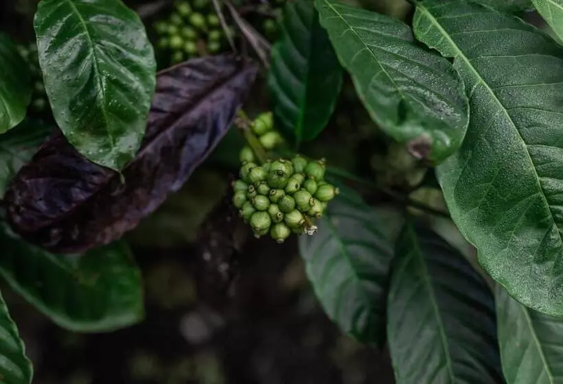 Hotelli Tusker Trail By Luxunlock