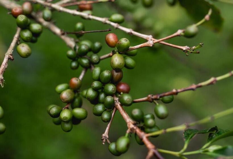 酒店 Tusker Trail By Luxunlock