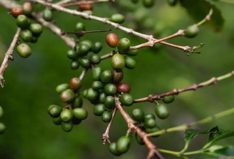 Hotelli Tusker Trail By Luxunlock