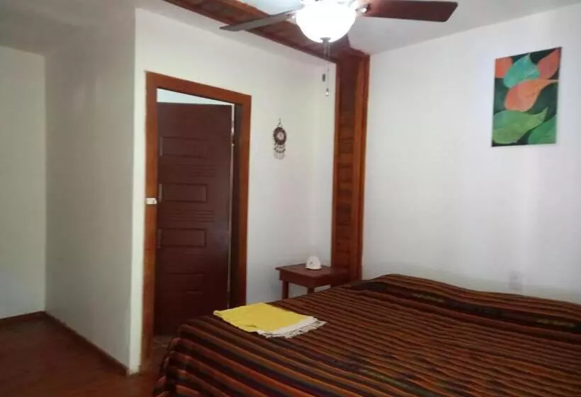Tonat Caribe Hostel01