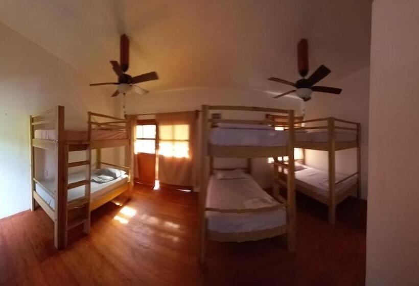 Tonat Caribe Hostel01