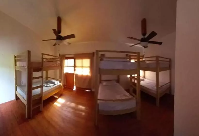 Tonat Caribe Hostel01